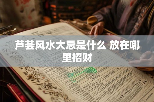 芦荟风水大忌是什么 放在哪里招财
