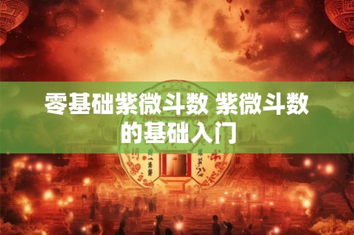 零基础紫微斗数 紫微斗数的基础入门