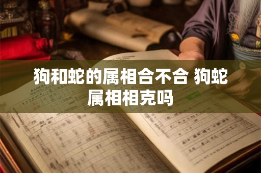 狗和蛇的属相合不合 狗蛇属相相克吗