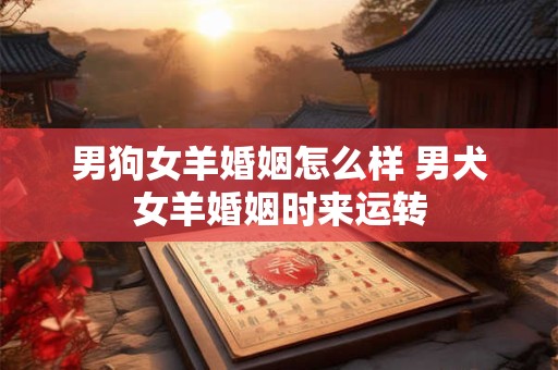 男狗女羊婚姻怎么样 男犬女羊婚姻时来运转