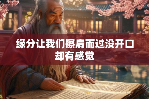 缘分让我们擦肩而过没开口却有感觉