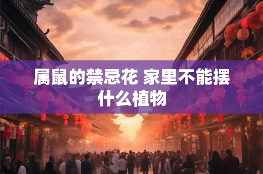 属鼠的禁忌花 家里不能摆什么植物
