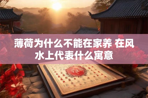 薄荷为什么不能在家养 在风水上代表什么寓意