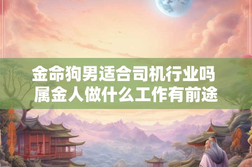 金命狗男适合司机行业吗 属金人做什么工作有前途