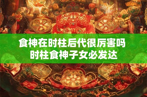 食神在时柱后代很厉害吗 时柱食神子女必发达