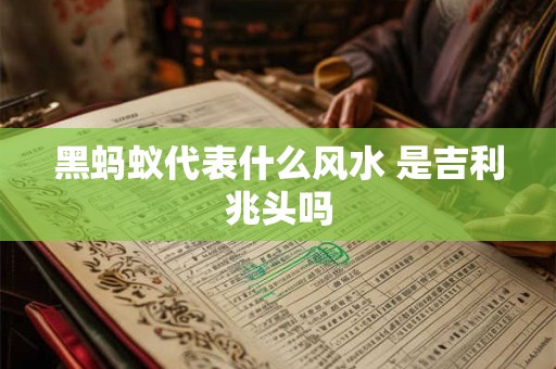 黑蚂蚁代表什么风水 是吉利兆头吗