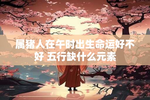 属猪人在午时出生命运好不好 五行缺什么元素