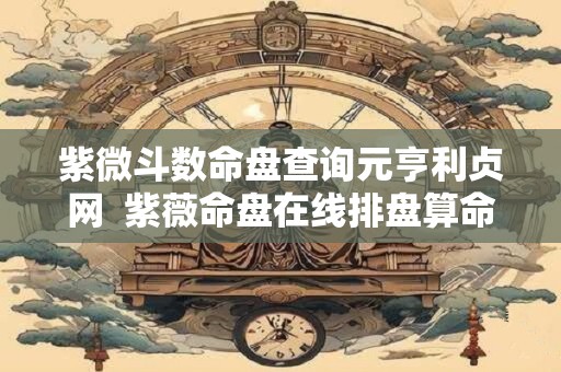 紫微斗数命盘查询元亨利贞网  紫薇命盘在线排盘算命元亨利贞