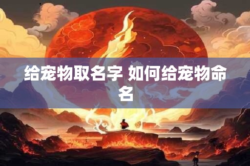 给宠物取名字 如何给宠物命名