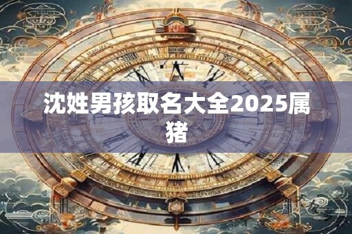 沈姓男孩取名大全2025属猪
