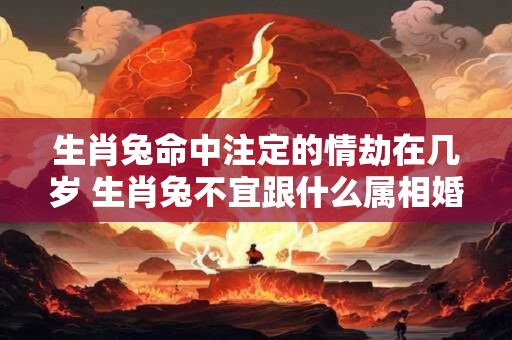 生肖兔命中注定的情劫在几岁 生肖兔不宜跟什么属相婚配