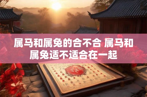 属马和属兔的合不合 属马和属兔适不适合在一起