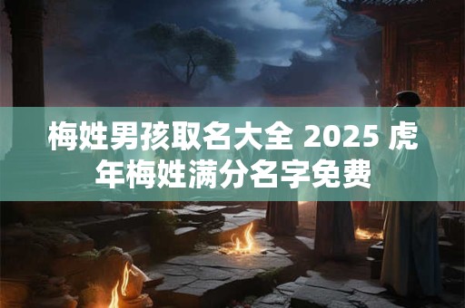 梅姓男孩取名大全 2025 虎年梅姓满分名字免费