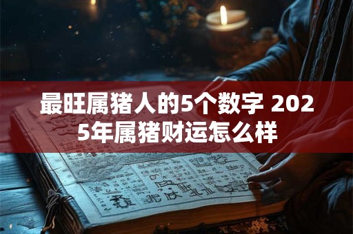 最旺属猪人的5个数字 2025年属猪财运怎么样
