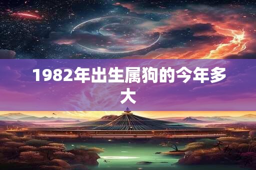 1982年出生属狗的今年多大