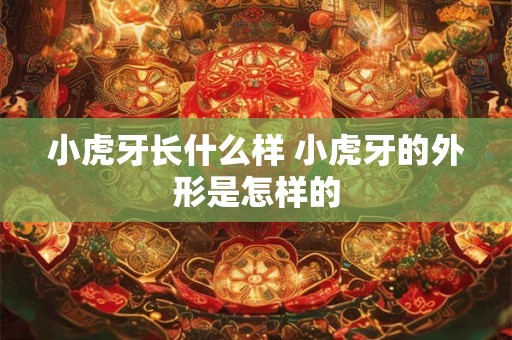 小虎牙长什么样 小虎牙的外形是怎样的