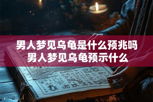 男人梦见乌龟是什么预兆吗 男人梦见乌龟预示什么