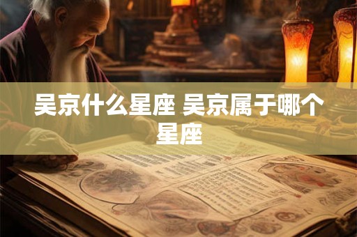吴京什么星座 吴京属于哪个星座