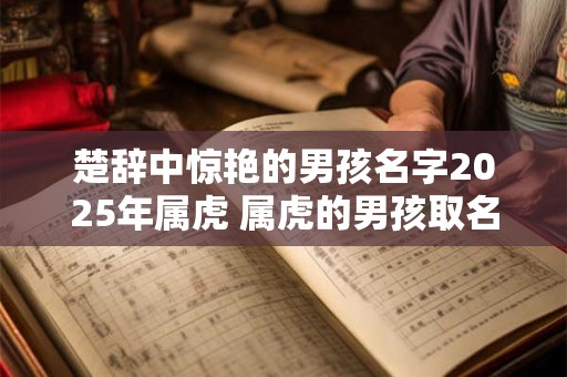 楚辞中惊艳的男孩名字2025年属虎 属虎的男孩取名宜用字