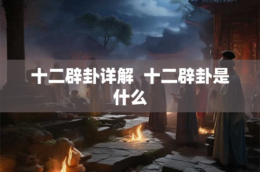 十二辟卦详解  十二辟卦是什么