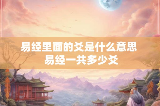 易经里面的爻是什么意思  易经一共多少爻