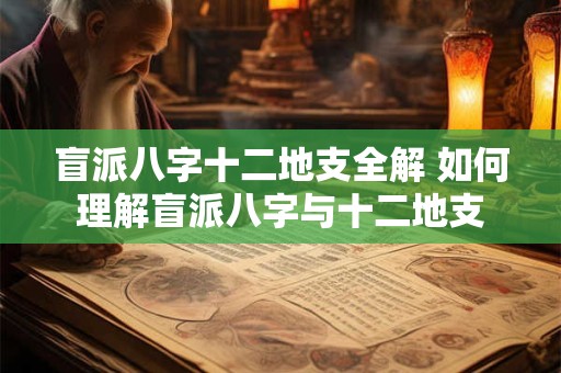 盲派八字十二地支全解 如何理解盲派八字与十二地支