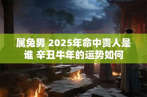 属兔男 2025年命中贵人是谁 辛丑牛年的运势如何