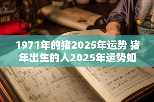 1971年的猪2025年运势 猪年出生的人2025年运势如何