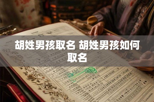 胡姓男孩取名 胡姓男孩如何取名