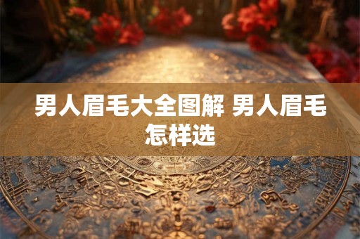 男人眉毛大全图解 男人眉毛怎样选