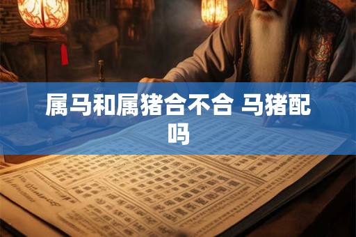 属马和属猪合不合 马猪配吗