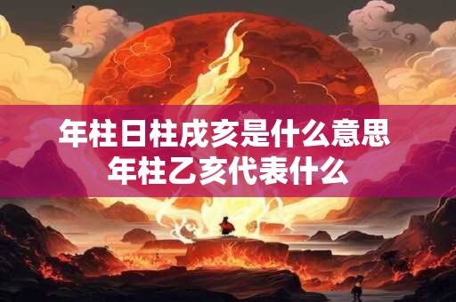 年柱日柱戌亥是什么意思 年柱乙亥代表什么