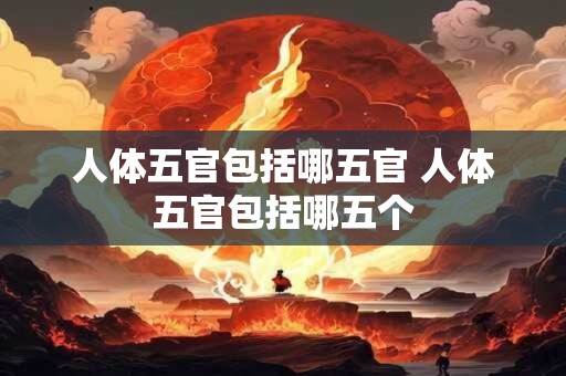 人体五官包括哪五官 人体五官包括哪五个