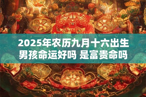 2025年农历九月十六出生男孩命运好吗 是富贵命吗