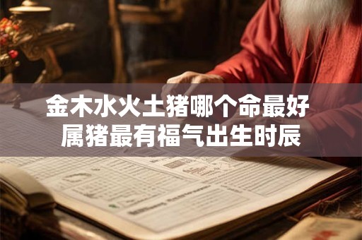 金木水火土猪哪个命最好 属猪最有福气出生时辰