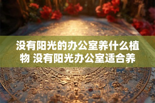 没有阳光的办公室养什么植物 没有阳光办公室适合养哪些植物
