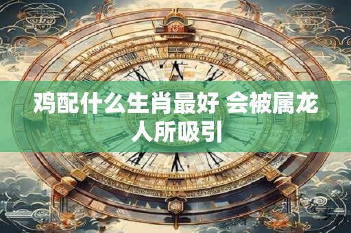 鸡配什么生肖最好 会被属龙人所吸引