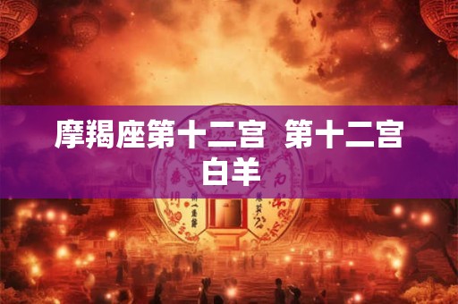 摩羯座第十二宫  第十二宫白羊