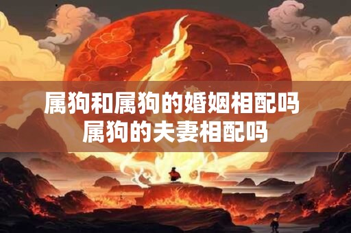 属狗和属狗的婚姻相配吗 属狗的夫妻相配吗