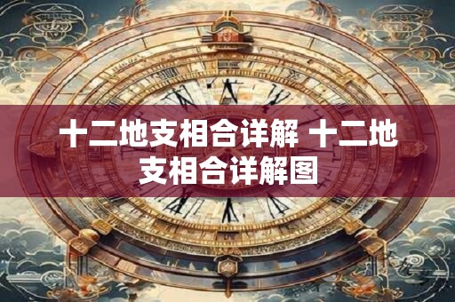 十二地支相合详解 十二地支相合详解图