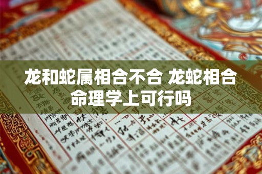 龙和蛇属相合不合 龙蛇相合命理学上可行吗
