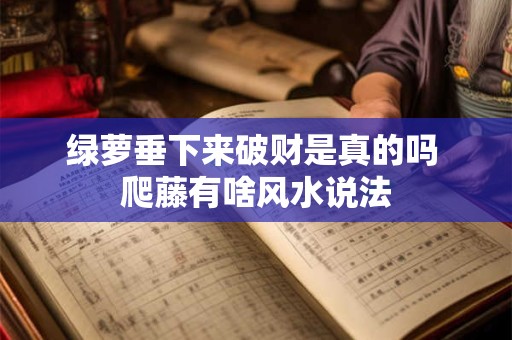 绿萝垂下来破财是真的吗 爬藤有啥风水说法
