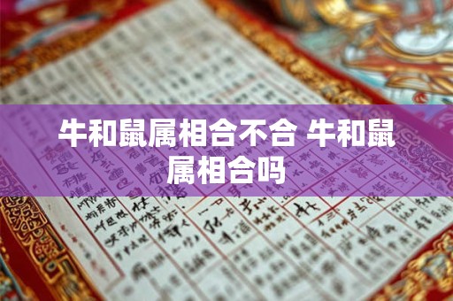 牛和鼠属相合不合 牛和鼠属相合吗