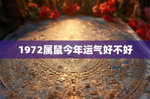 1972属鼠今年运气好不好