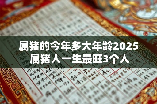 属猪的今年多大年龄2025 属猪人一生最旺3个人