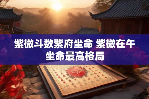 紫微斗数紫府坐命 紫微在午坐命最高格局
