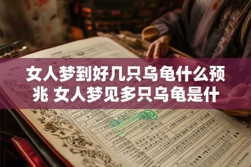 女人梦到好几只乌龟什么预兆 女人梦见多只乌龟是什么意思