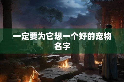 一定要为它想一个好的宠物名字