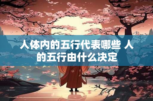 人体内的五行代表哪些 人的五行由什么决定