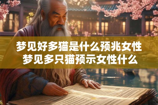 梦见好多猫是什么预兆女性 梦见多只猫预示女性什么